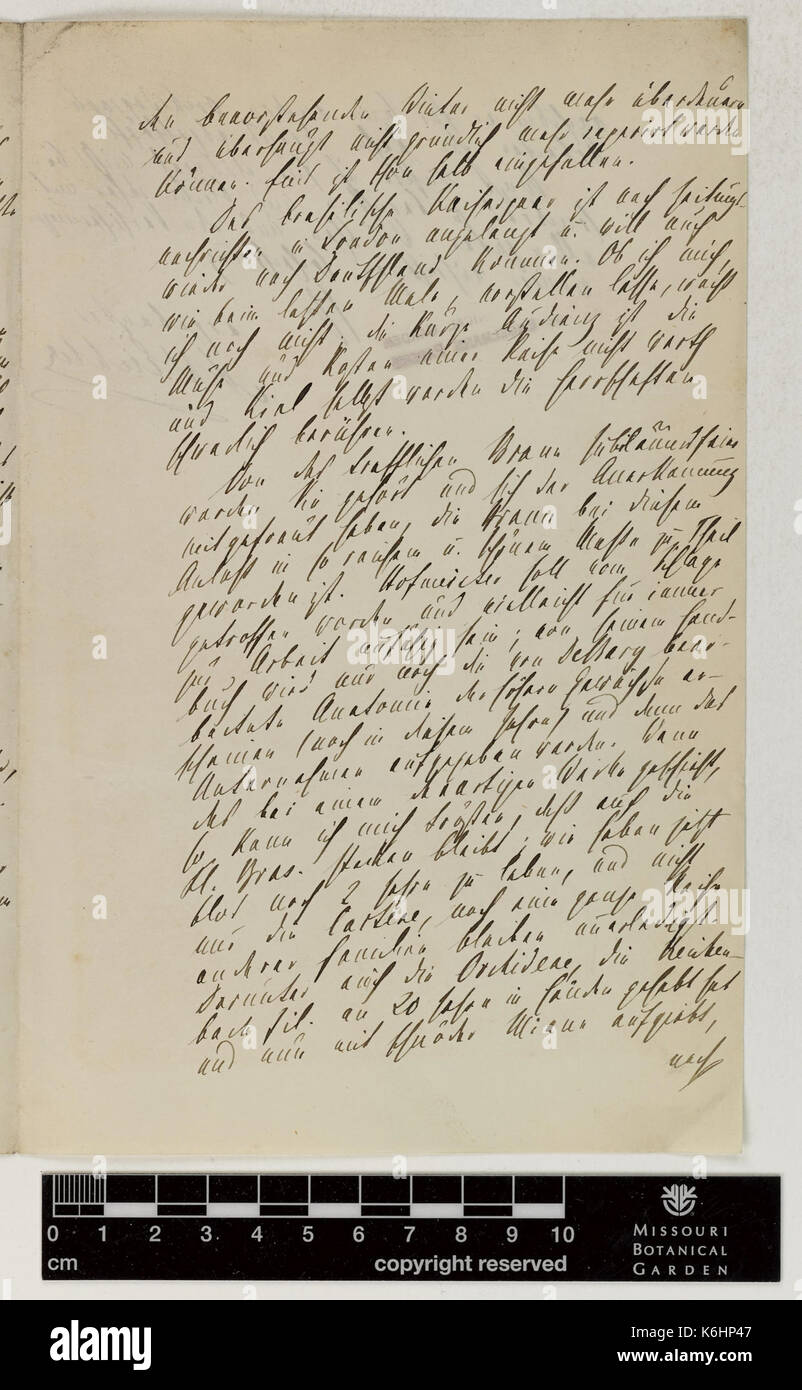 Corrispondenza Eichler (Agosto) e Engelmann (George) (Lug 25, 1876 (2)) BHL43373607 Foto Stock