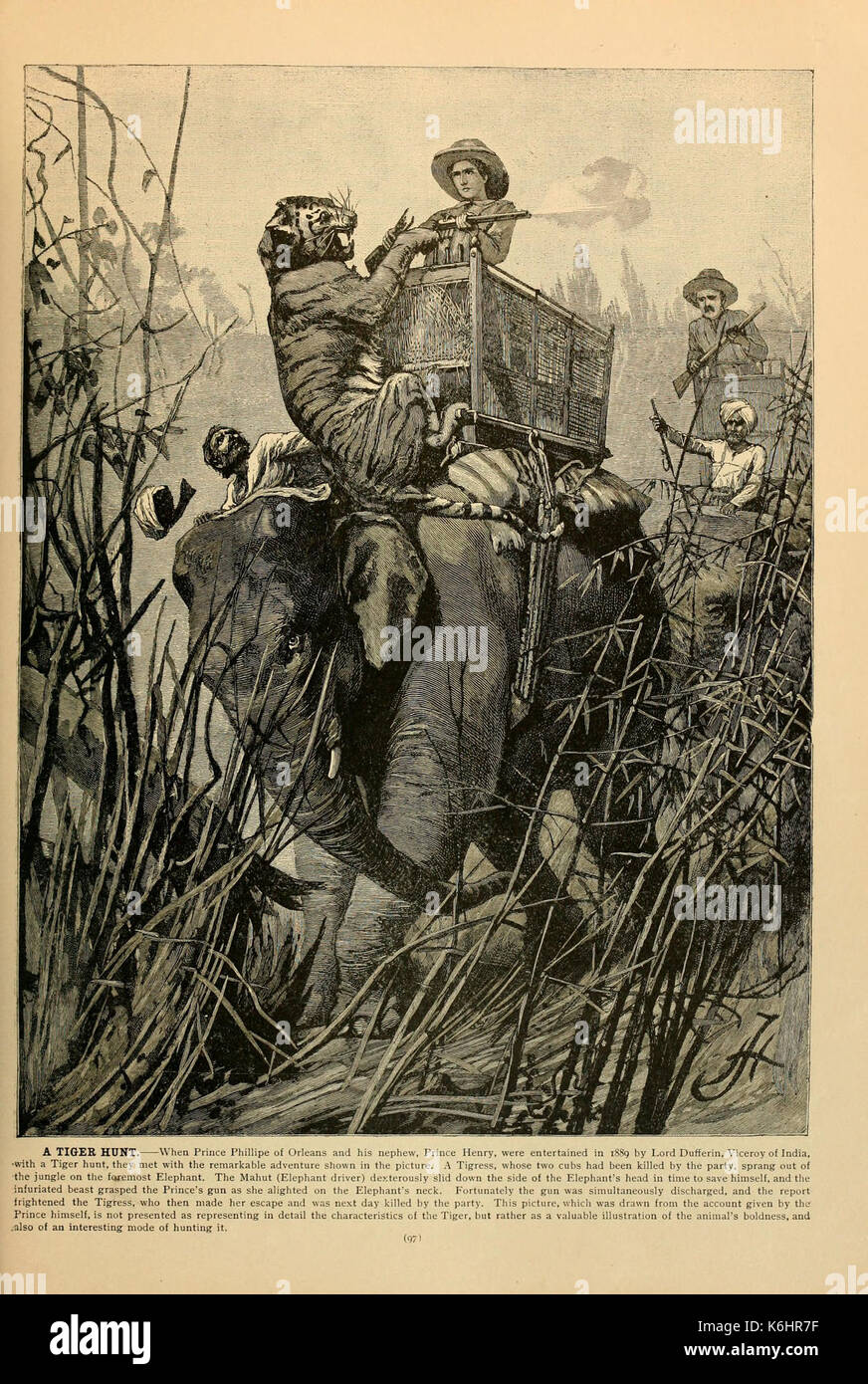 Brehm la vita degli animali (pagina 97) (6220152509) Foto Stock