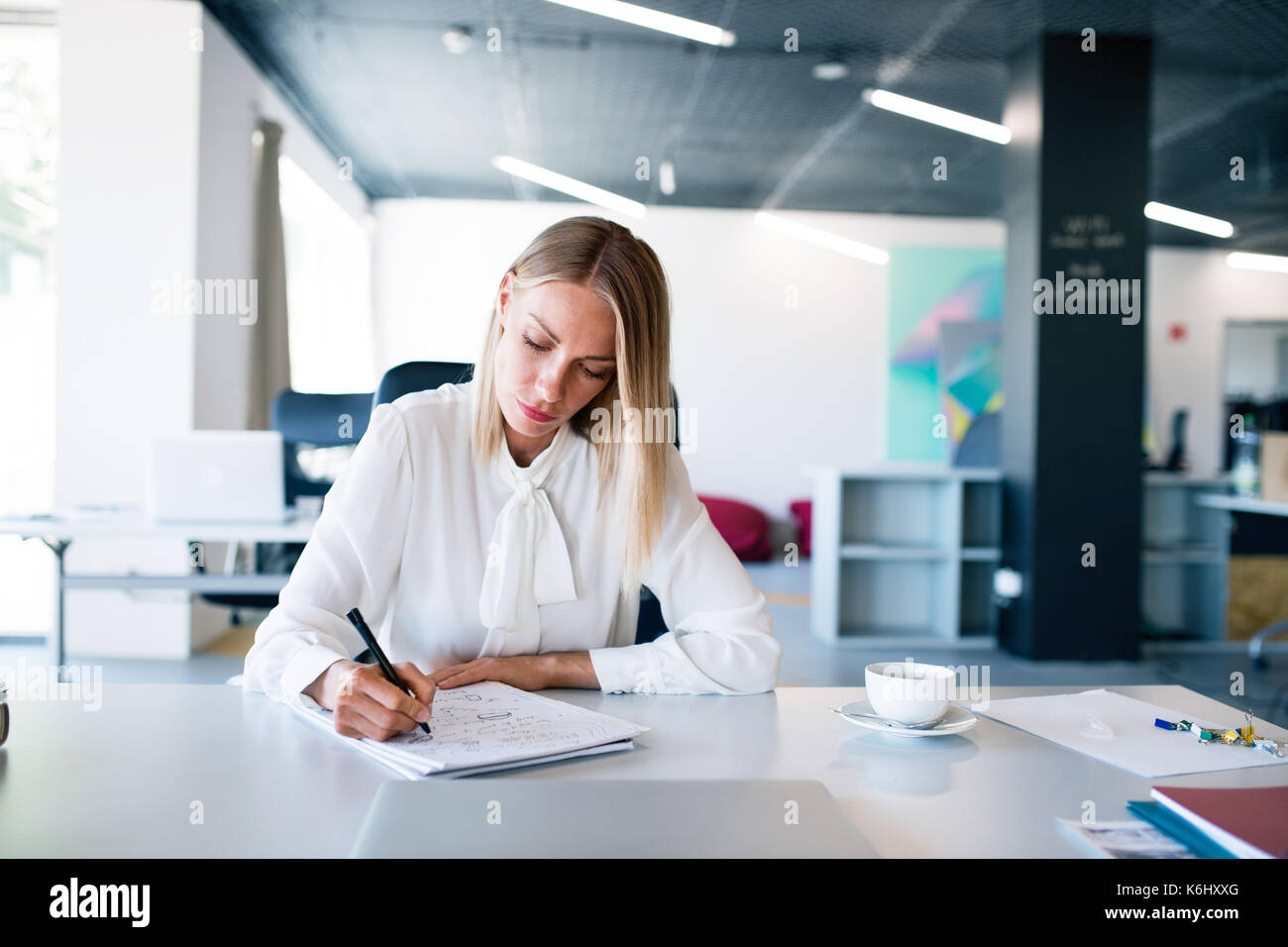 Imprenditrice dalla scrivania con il notebook nel suo ufficio. Foto Stock