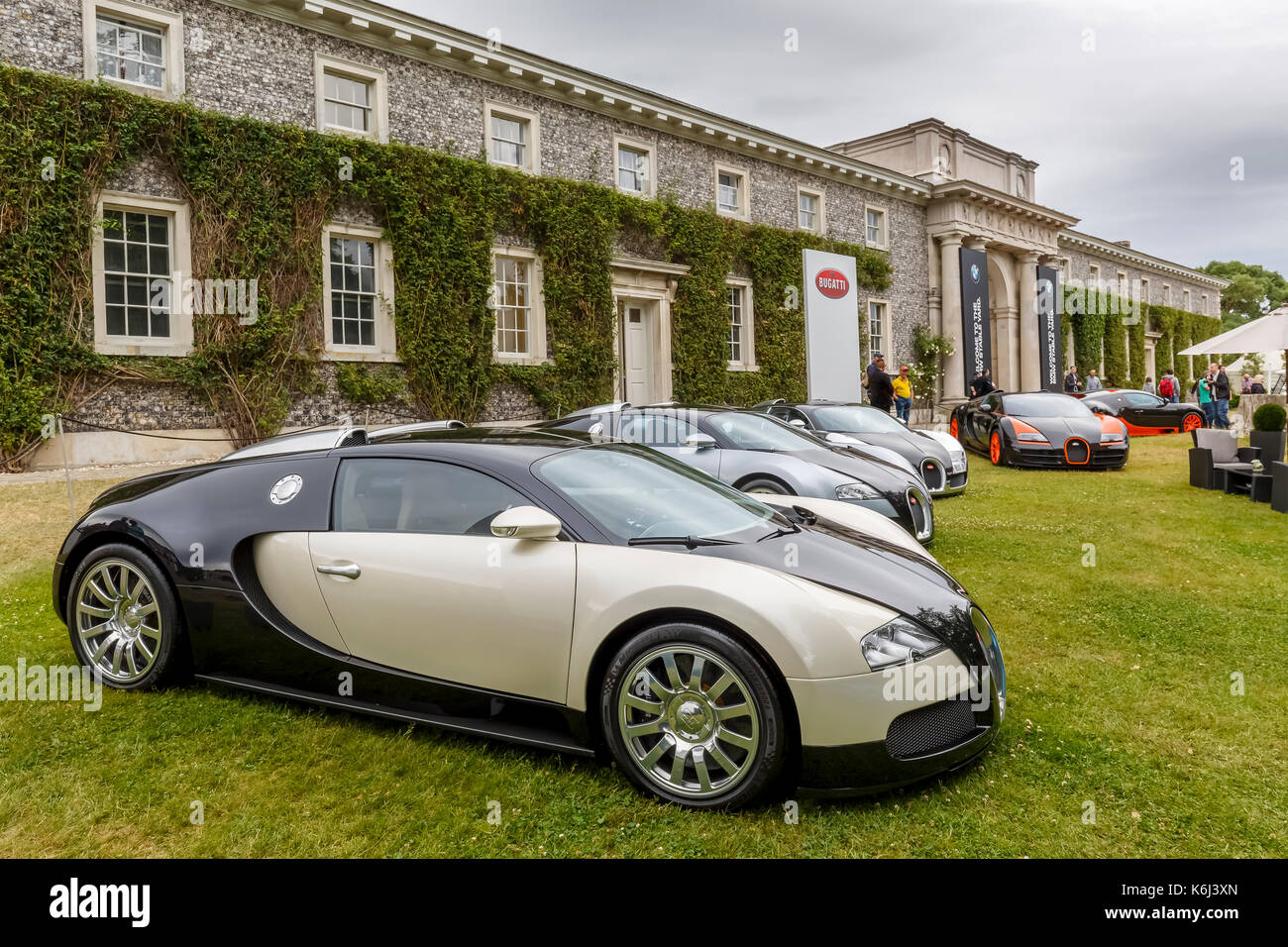 Al 2017 goodwwod festival della velocità, sussex, Regno Unito. Foto Stock