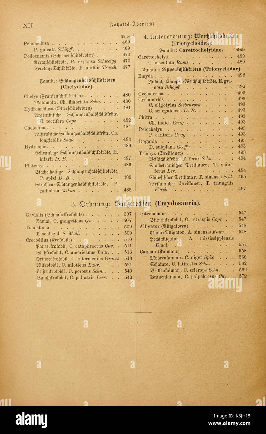 Brehms Tierleben (pagina XII) BHL2977412 Foto Stock