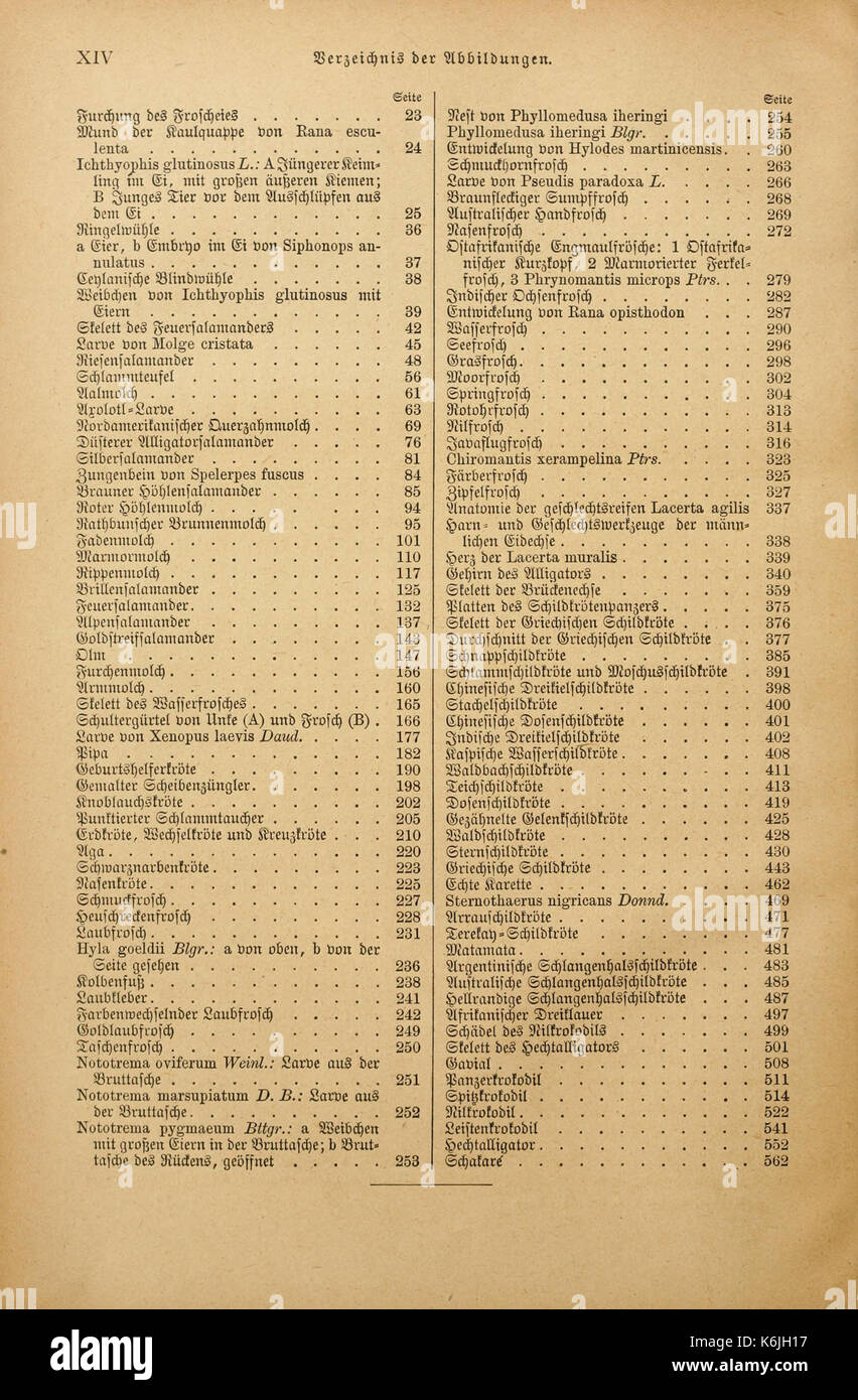 Brehms Tierleben (pagina XIV) BHL2977414 Foto Stock