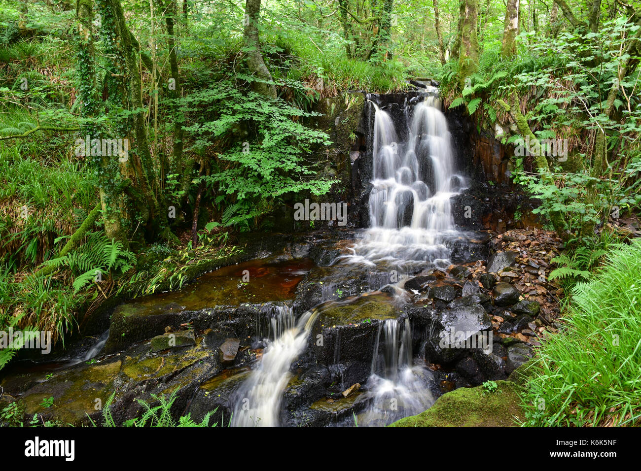 Glenashdale falls, merlano bay, isola di Arran, SCOZIA Foto Stock