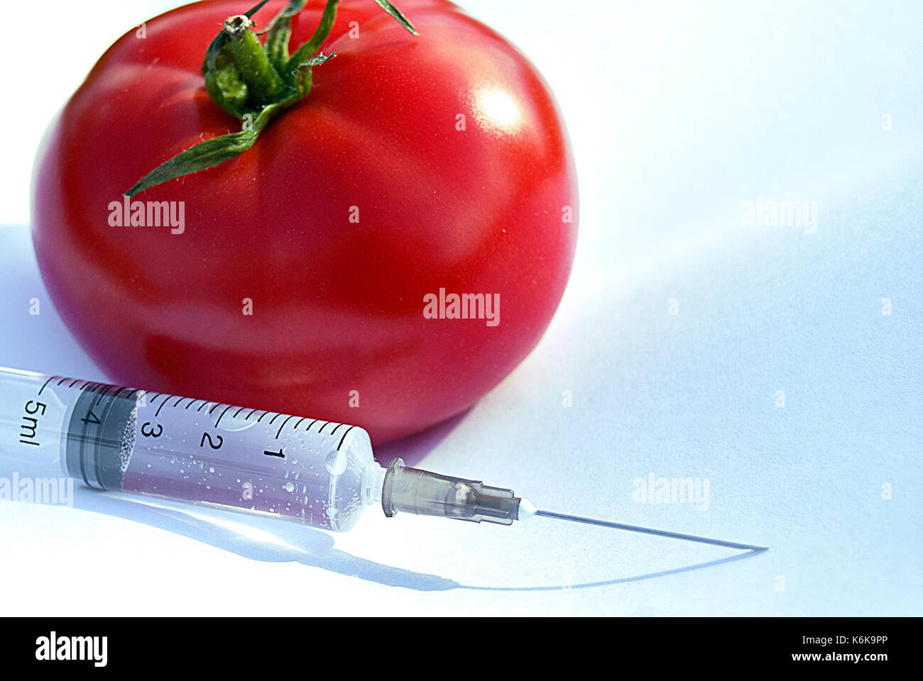 La modificazione genetica - pomodori Foto Stock