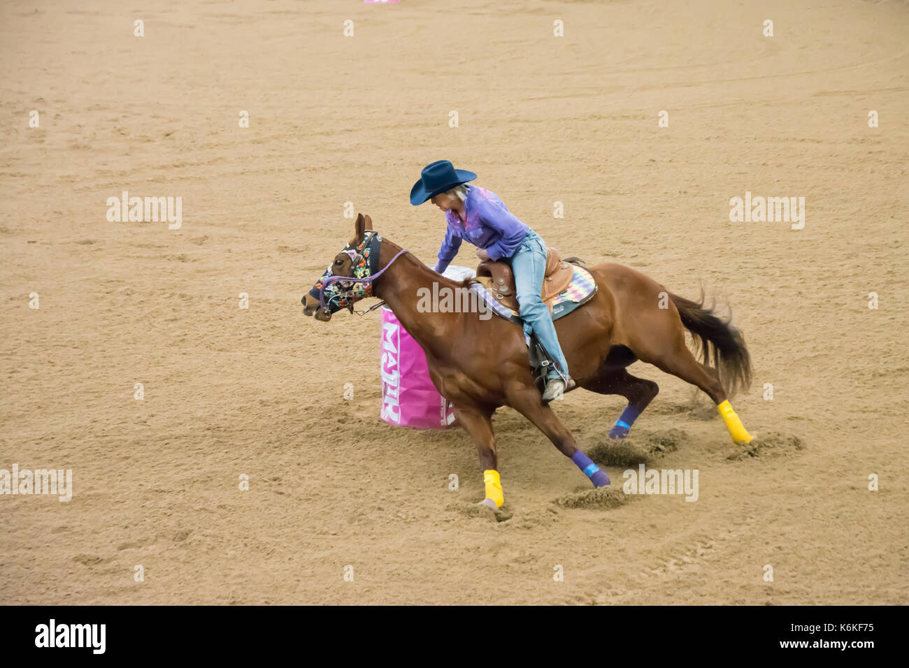 Cavallo Sport, onorevoli Finali Nazionali Barrel racing presso l'Australian cavalli e bestiame Eventi Centro (AELEC) Indoor Arena,Tamworth NSW Australia,Se Foto Stock