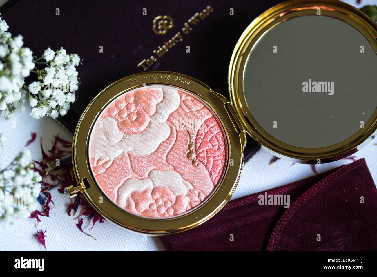 Coreano blusher bellezza con stupenda farfalla dettaglio e fiori in background Foto Stock