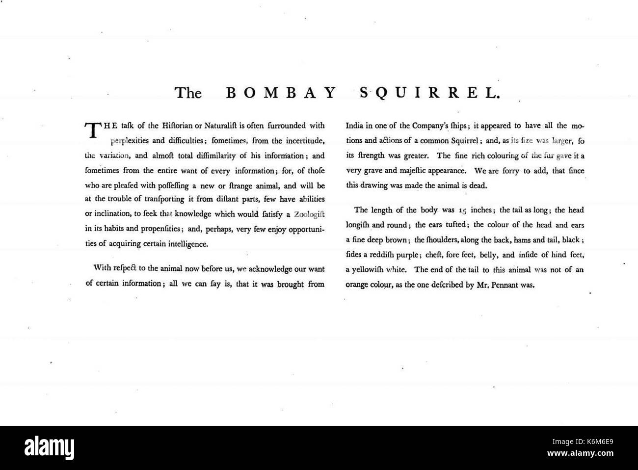 Charles Catton, animali (1788) Pagina67 Image1 Foto Stock