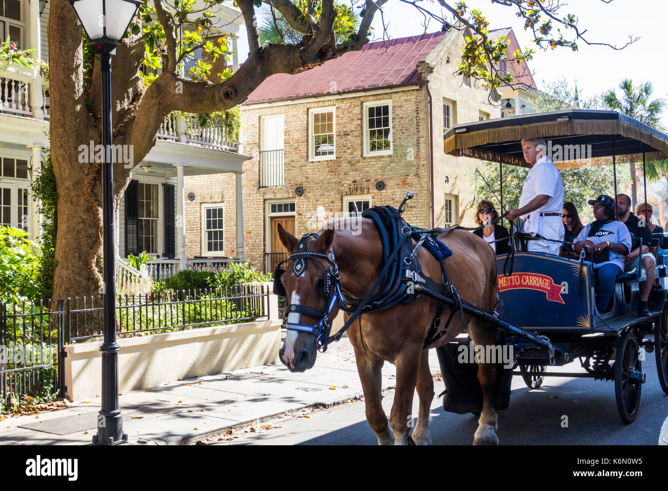 Charleston South Carolina, centro storico, Queen Street, tour guidato, carrozza trainata da cavalli, SC170514165 Foto Stock