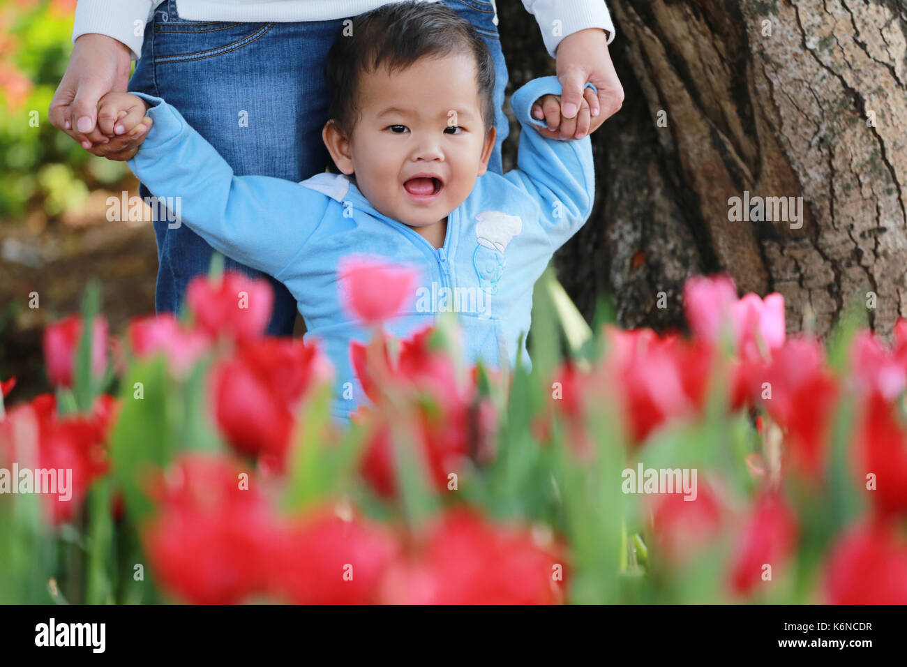 Ragazzo asiatico così felice di tulipani rossi giardino,nozione di carino e luminoso i bambini. Foto Stock