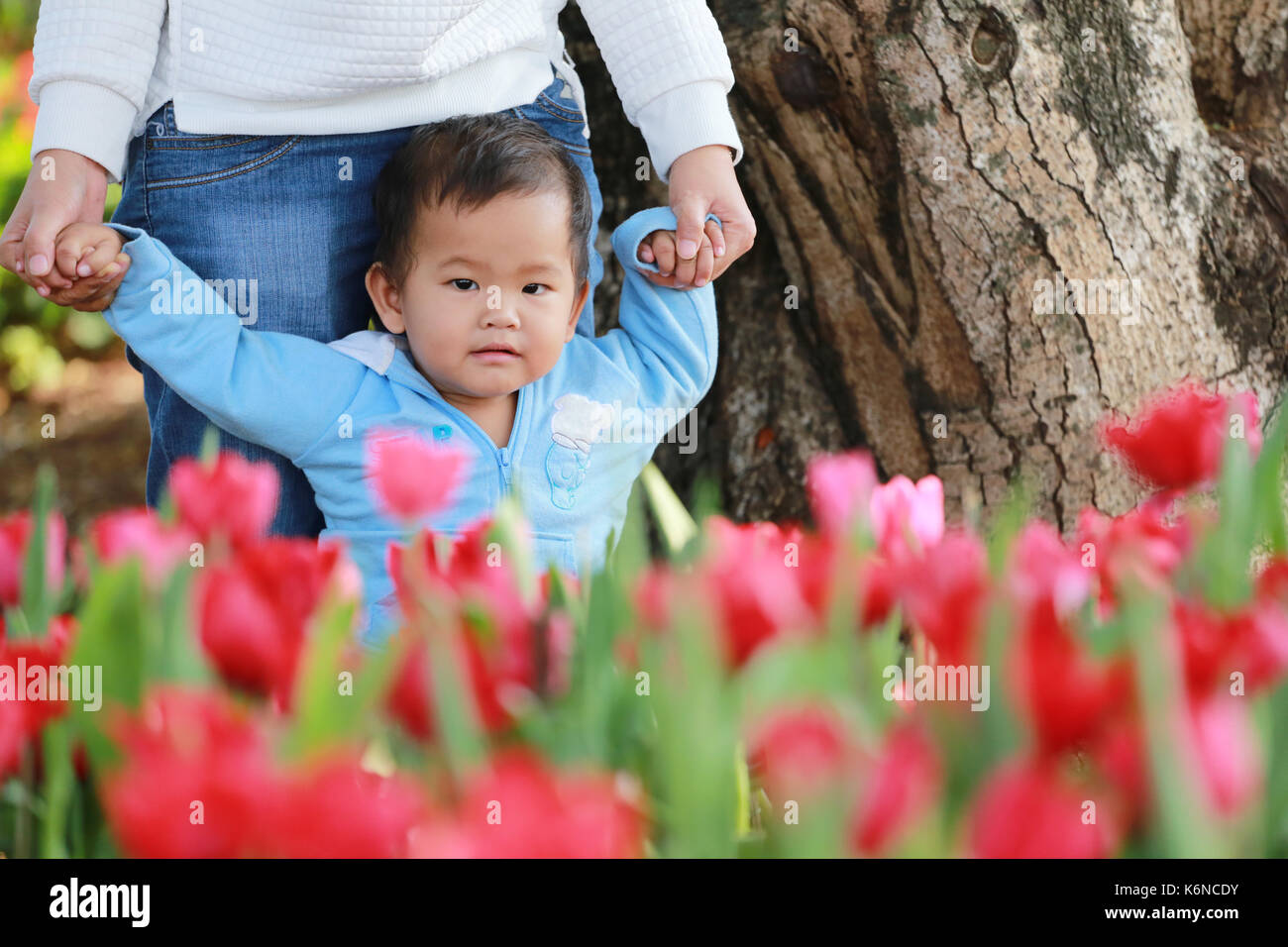 Ragazzo asiatico così felice di tulipani rossi giardino,nozione di carino e luminoso i bambini. Foto Stock