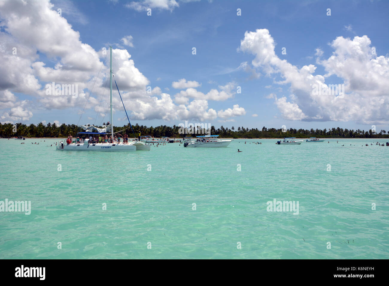 I turisti in visita a piscina naturale - Isla Saona - Repubblica dominicana e la visualizzazione delle Bahama starfish Foto Stock
