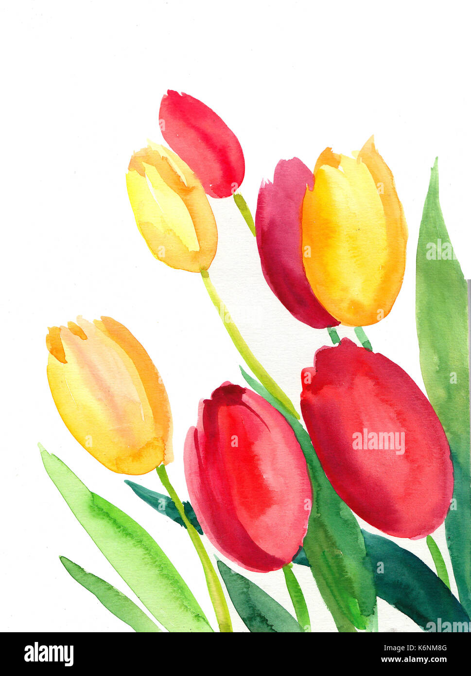 Acquerello i tulipani Foto Stock