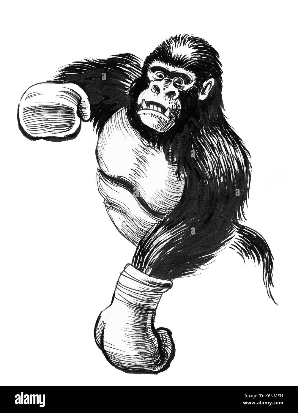Gorilla gorilla fighting Foto e Immagini Stock in Bianco e Nero - Alamy