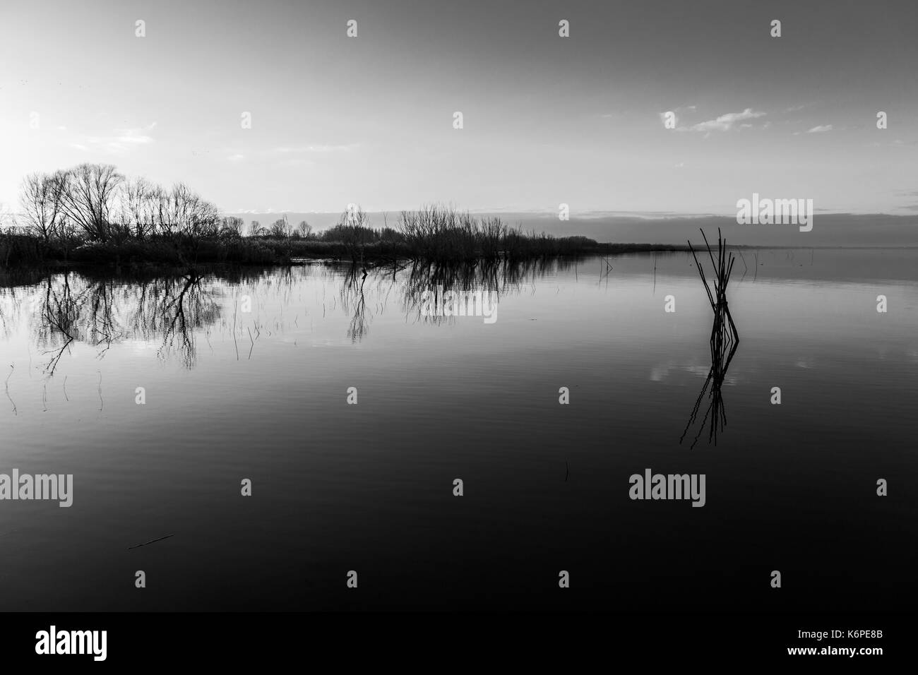 Il lago al crepuscolo con perfetta riflessioni, pali di legno in primo piano, alberi in background e toni morbidi Foto Stock