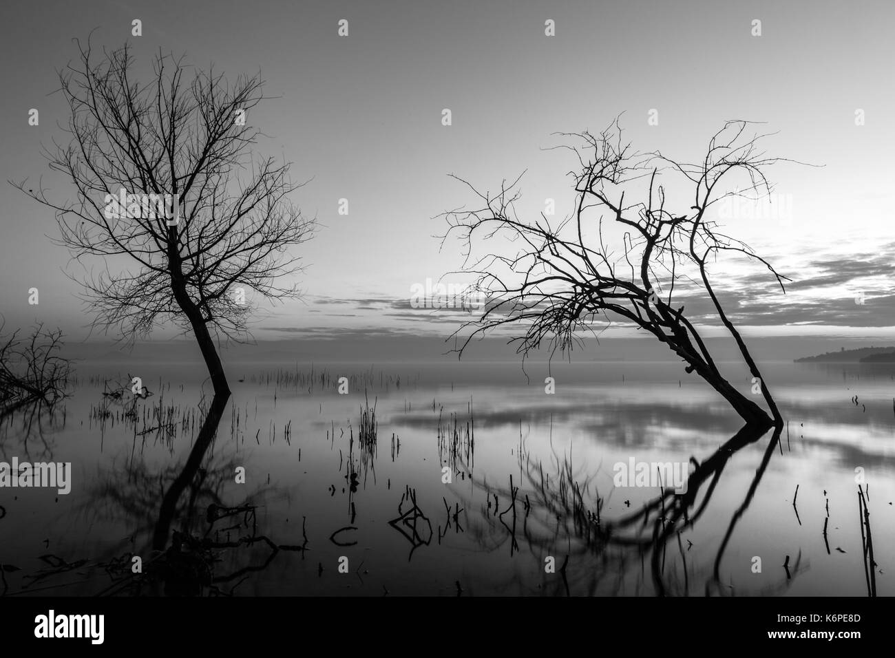 Una lunga esposizione foto di un lago al tramonto, con alberi e rami provenienti fuori ancora acqua e quasi un cielo vuoto Foto Stock