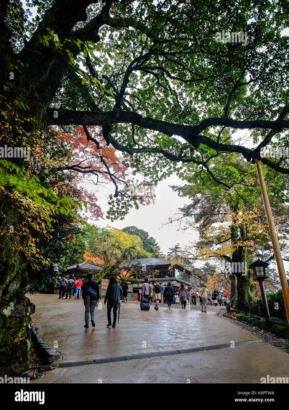 Kyoto, Giappone - nov 19, 2016. la gente visita gion old street a Kyoto, Giappone. kyoto è servita come capitale del Giappone e l'imperatore residence da 794 fino a 1868 Foto Stock