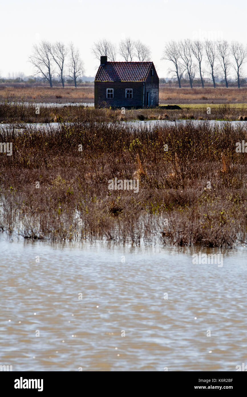 La maggior parte delle fattorie e case tiengemeten, un laghetto di acqua dolce zona di marea in haringvliet estuario nei Paesi Bassi sono abbandonati e restituita a na Foto Stock