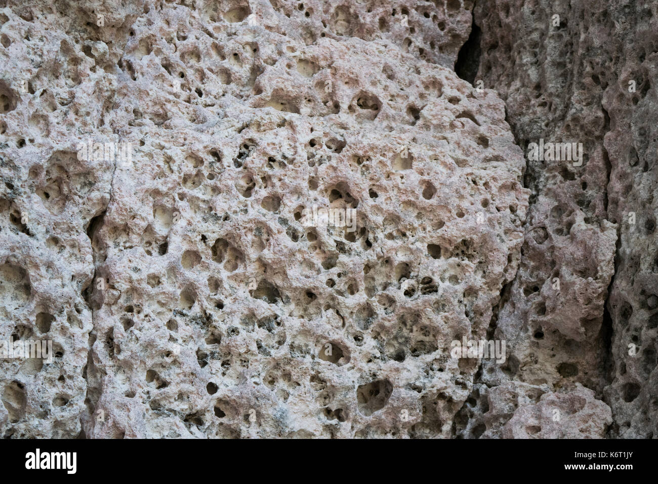 Rosa chiaro o rosato di roccia calcarea che si trova lungo le scogliere del sud-ovest di Malta. Le rocce sono piene di buchi erosione e dagli agenti atmosferici. Rdum tal-Mara Malta Foto Stock