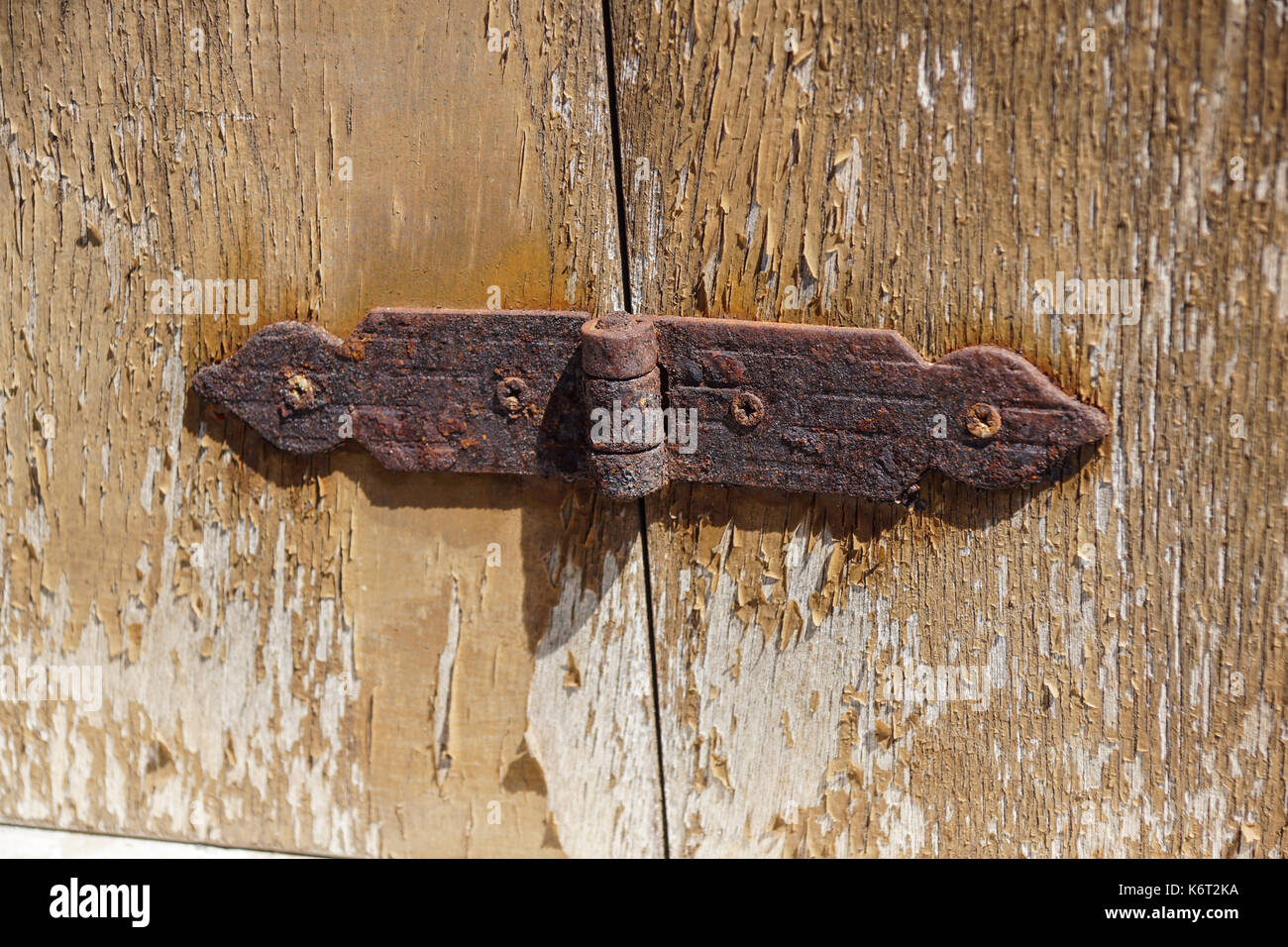 Età persiane scheda porta con ferro decorato cerniere e viti Foto Stock