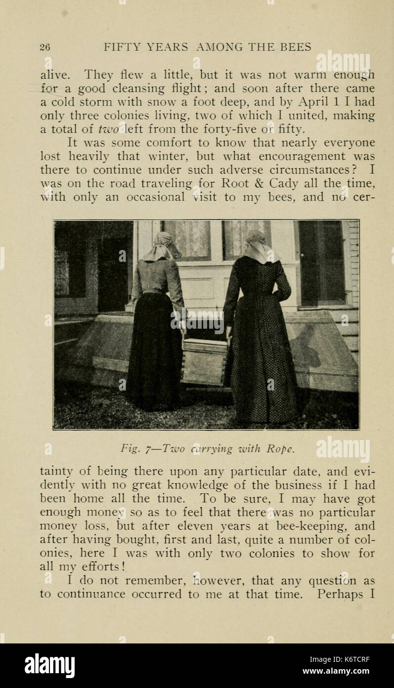 "Cinquant'anni tra le api" è un resoconto dettagliato della vita di una persona trascorsa nell'apicoltura, che copre esperienze, osservazioni e l'evoluzione della pratica apicola per oltre mezzo secolo. Foto Stock