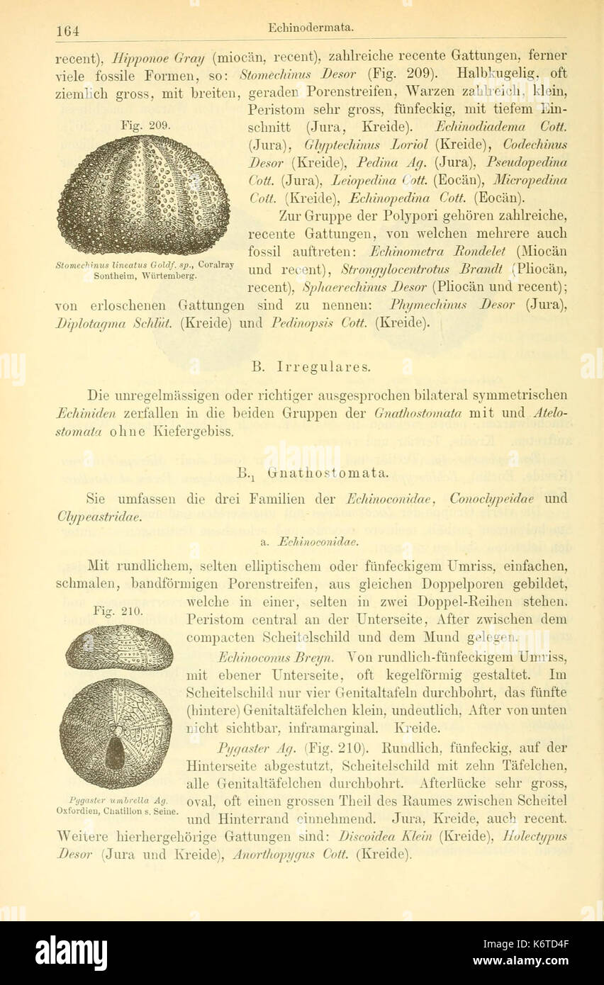 Elemente der palaeontologie (pagina 164, Fig. 209 210) BHL14893891 Foto Stock