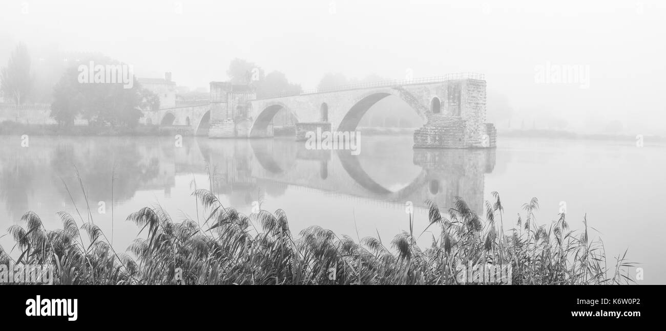 Foggy avignon - Francia Foto Stock