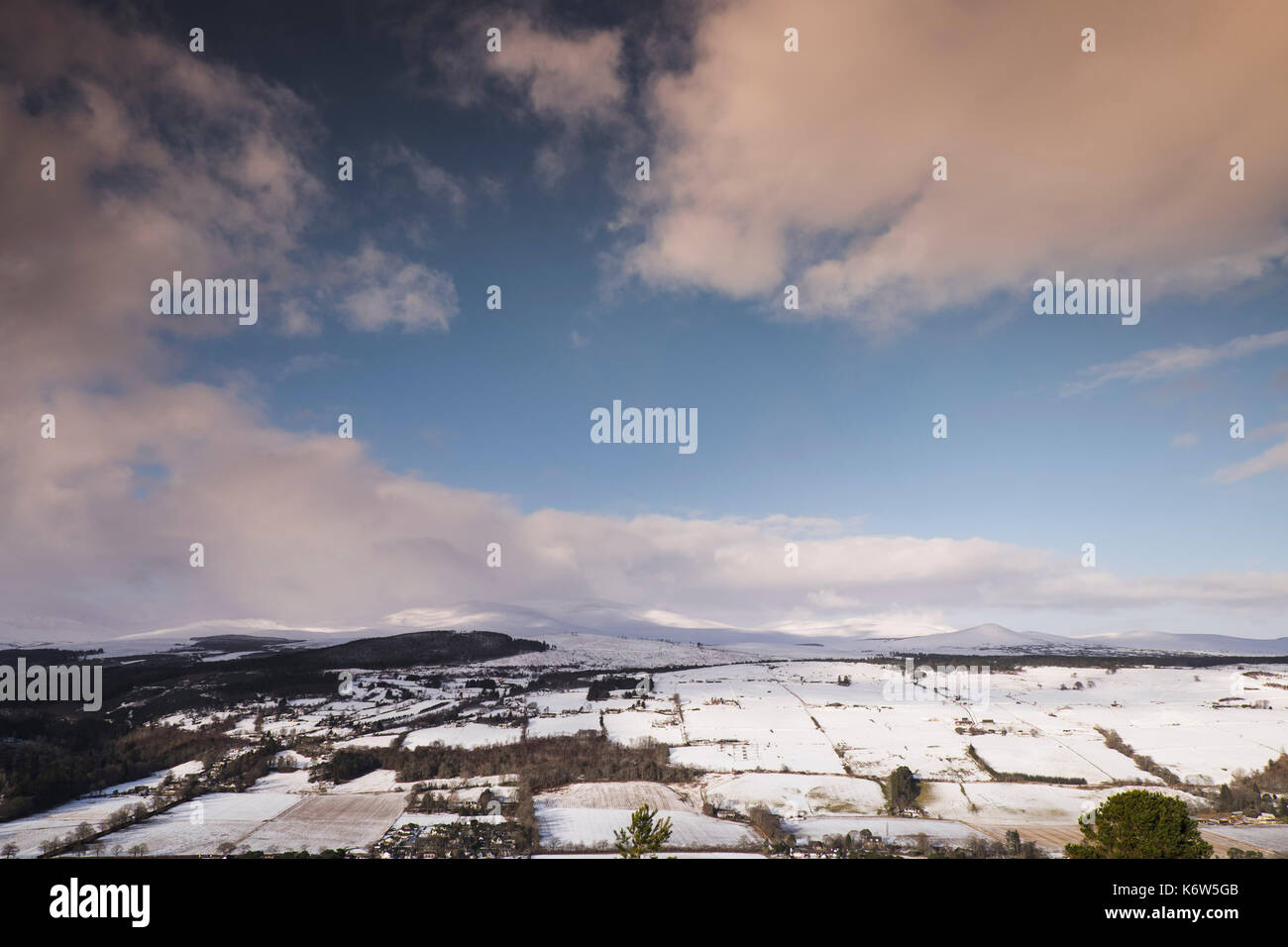 Viste intorno cnoc mor vicino a Strathpeffer nelle highlands scozzesi Foto Stock