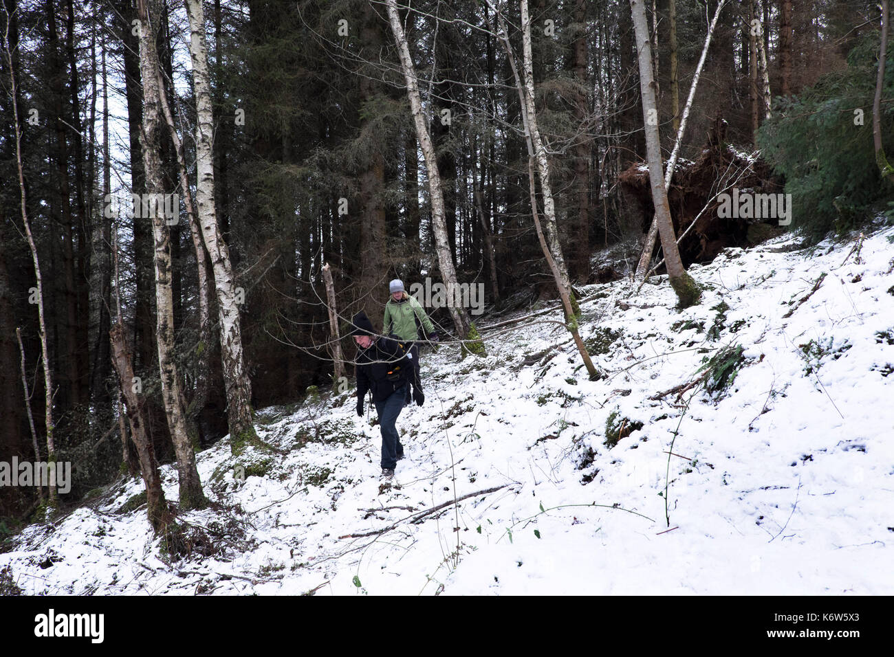 Viste intorno cnoc mor vicino a Strathpeffer nelle highlands scozzesi Foto Stock