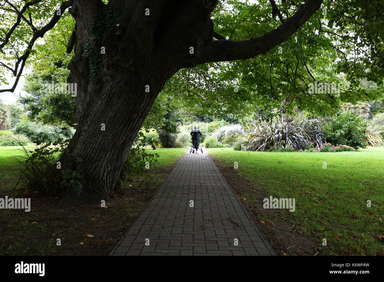 Una donna anziana foto camminando lentamente con un tri walker aiuto attraverso un parco in felpham, west sussex, Regno Unito. Foto Stock