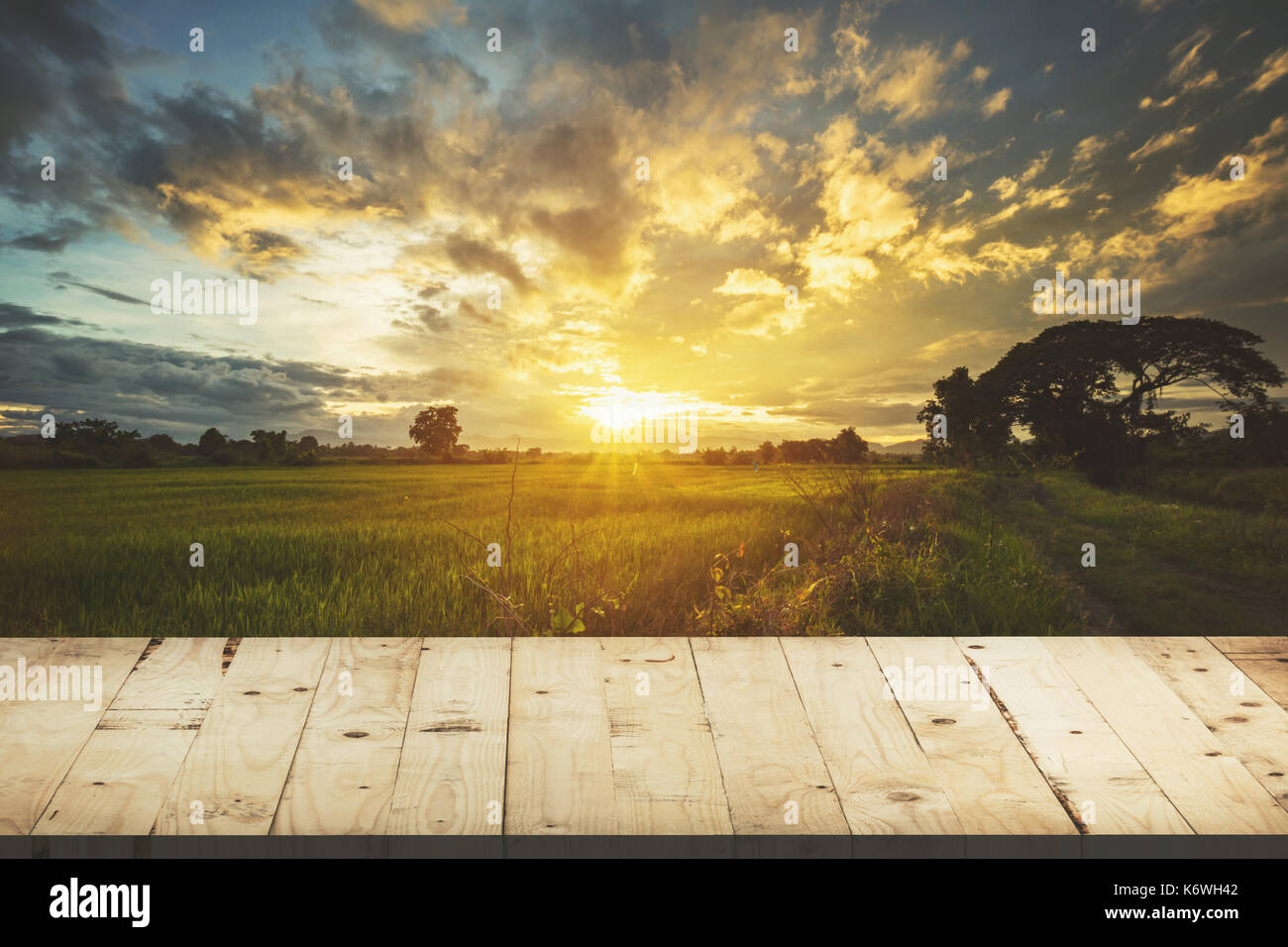 Tavolo in legno e campo di riso e al tramonto il cielo blu con lens flare, display montage per prodotto. Foto Stock