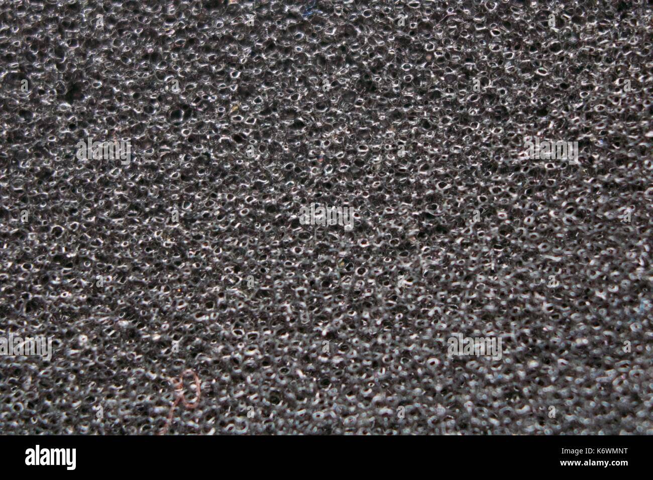 Macro de esponja de alta densidade Foto Stock