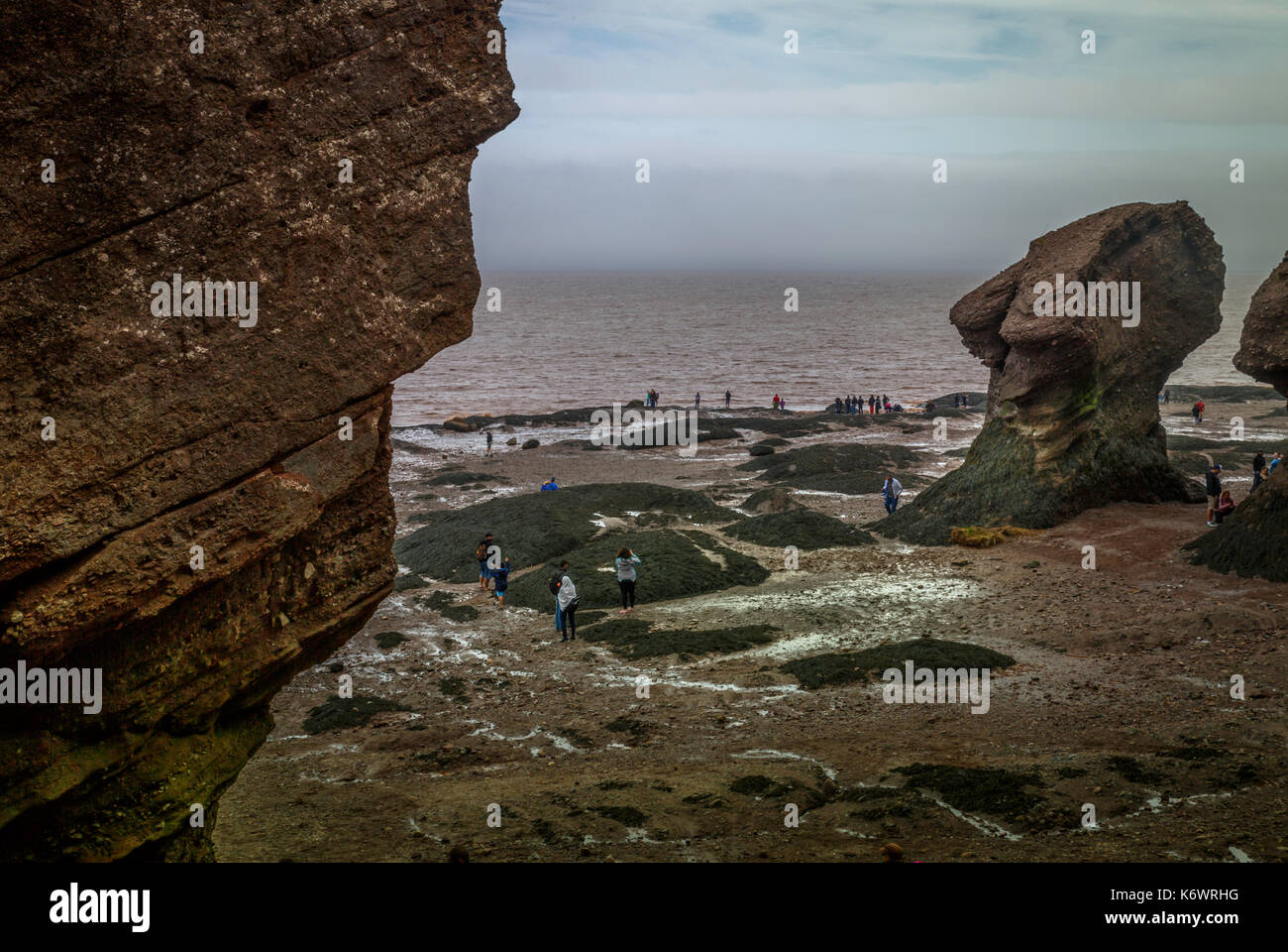 Mare dei depositi di sale sull oceano pavimento a bassa marea, hopewell rocks, baia di Fundy, New Brunswick, Canada Foto Stock