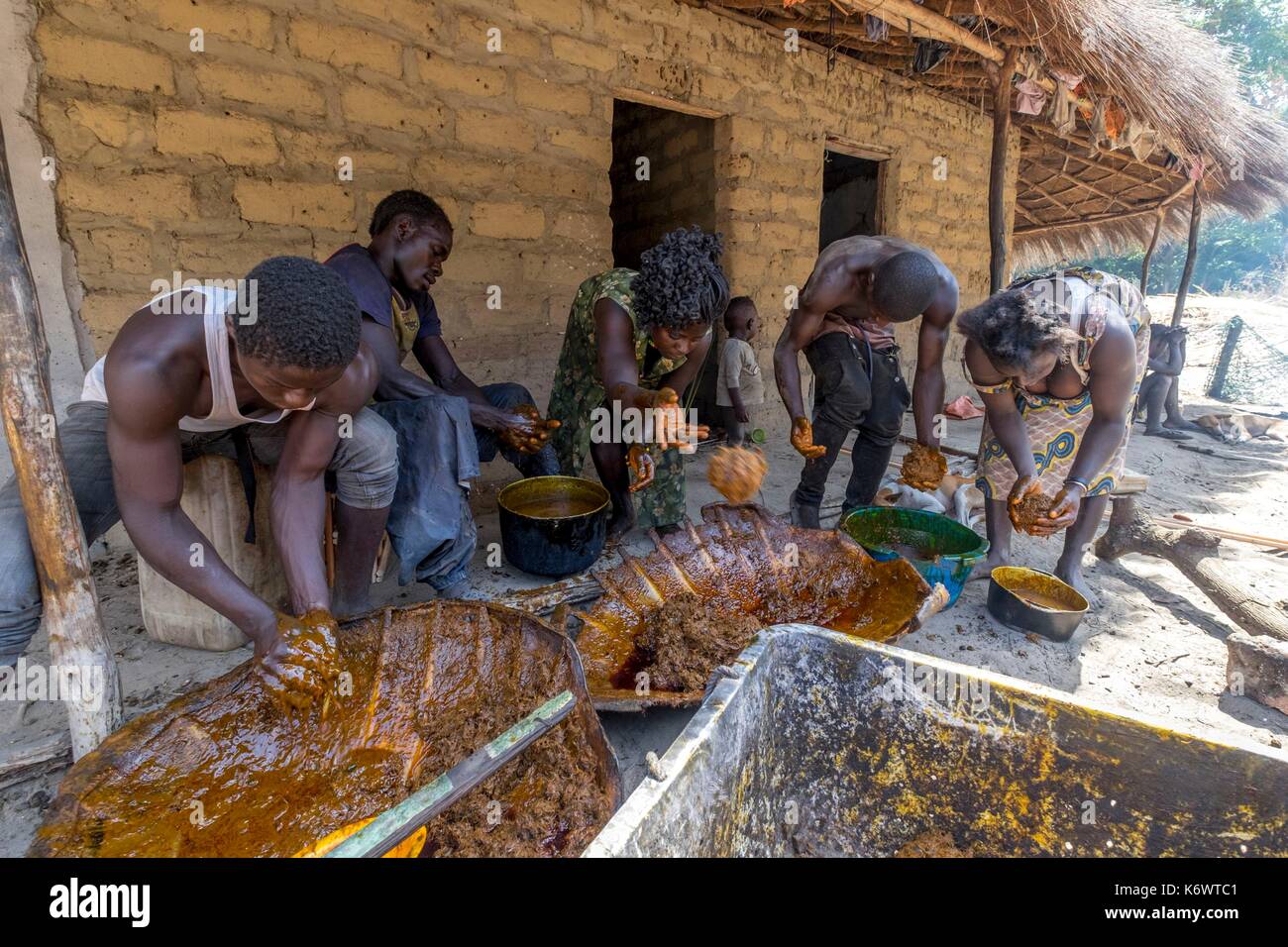 Guinee Bissau, arcipelago Bijagos elencati come si Riserva Biosfera dall'UNESCO, Orango island, il parco nazionale di Orango Foto Stock