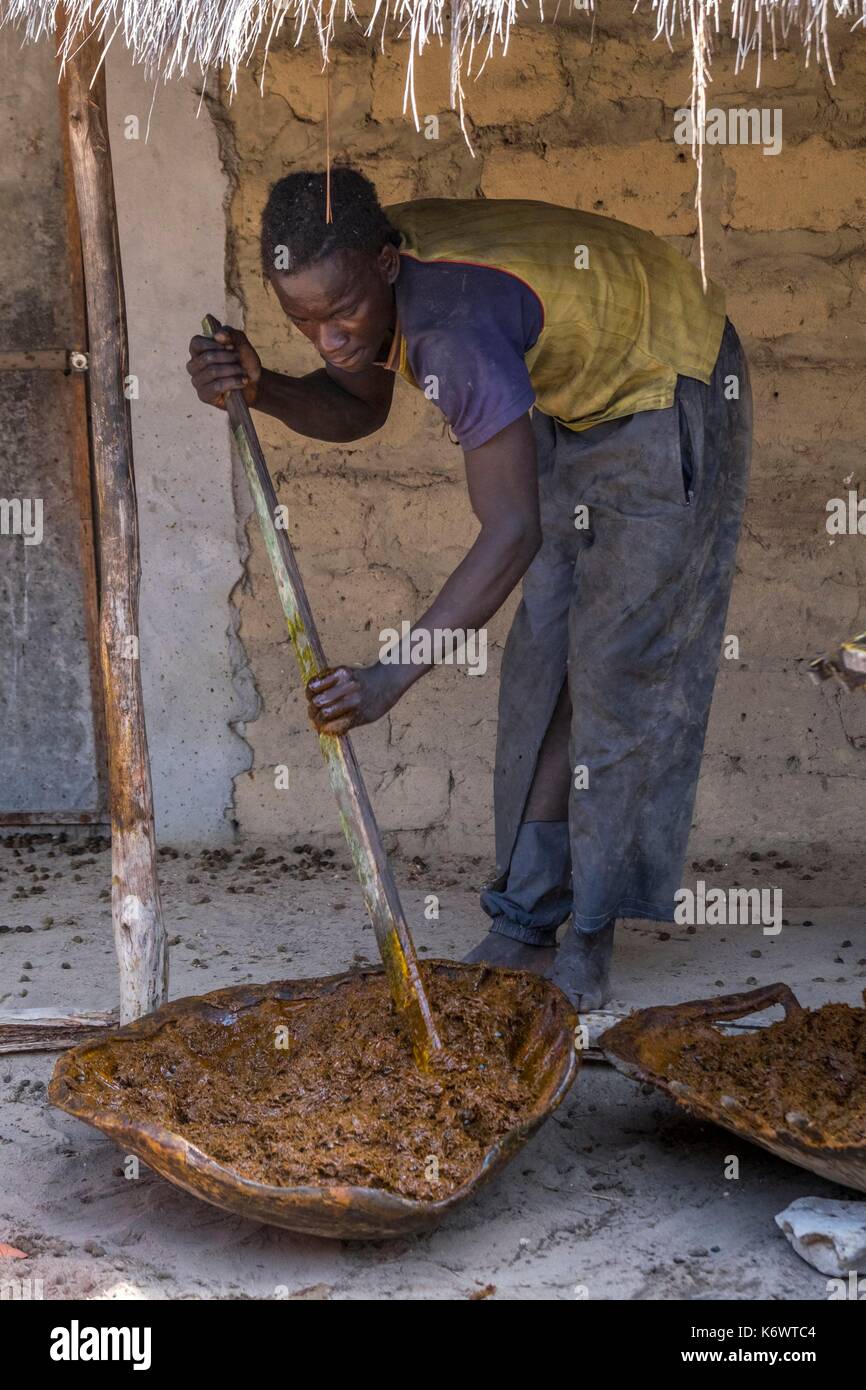 Guinee Bissau, arcipelago Bijagos elencati come si Riserva Biosfera dall'UNESCO, Orango island, il parco nazionale di Orango Foto Stock