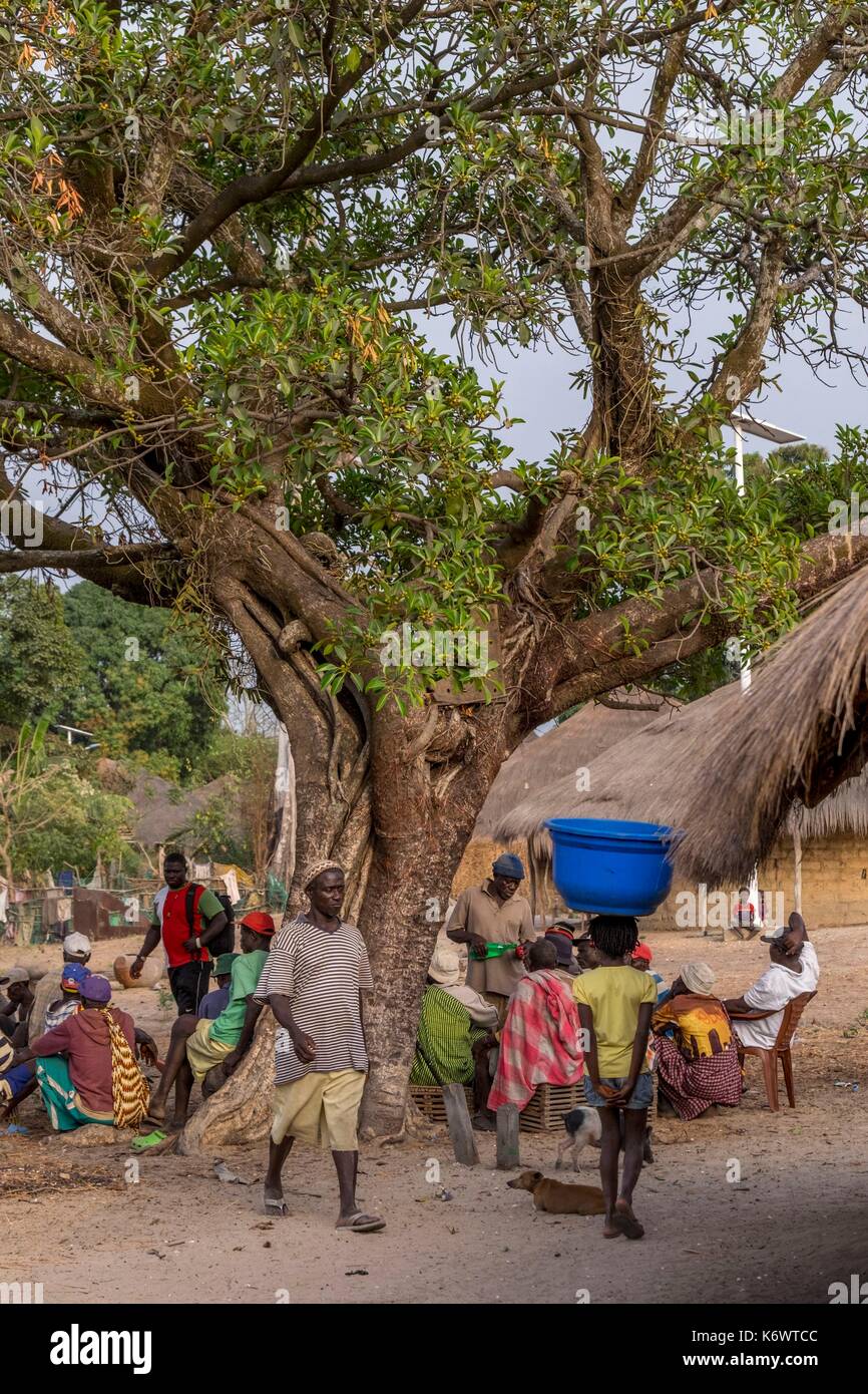 Guinee Bissau, arcipelago Bijagos elencati come si Riserva Biosfera dall'UNESCO, Imbone island, il parco nazionale di Orango Foto Stock