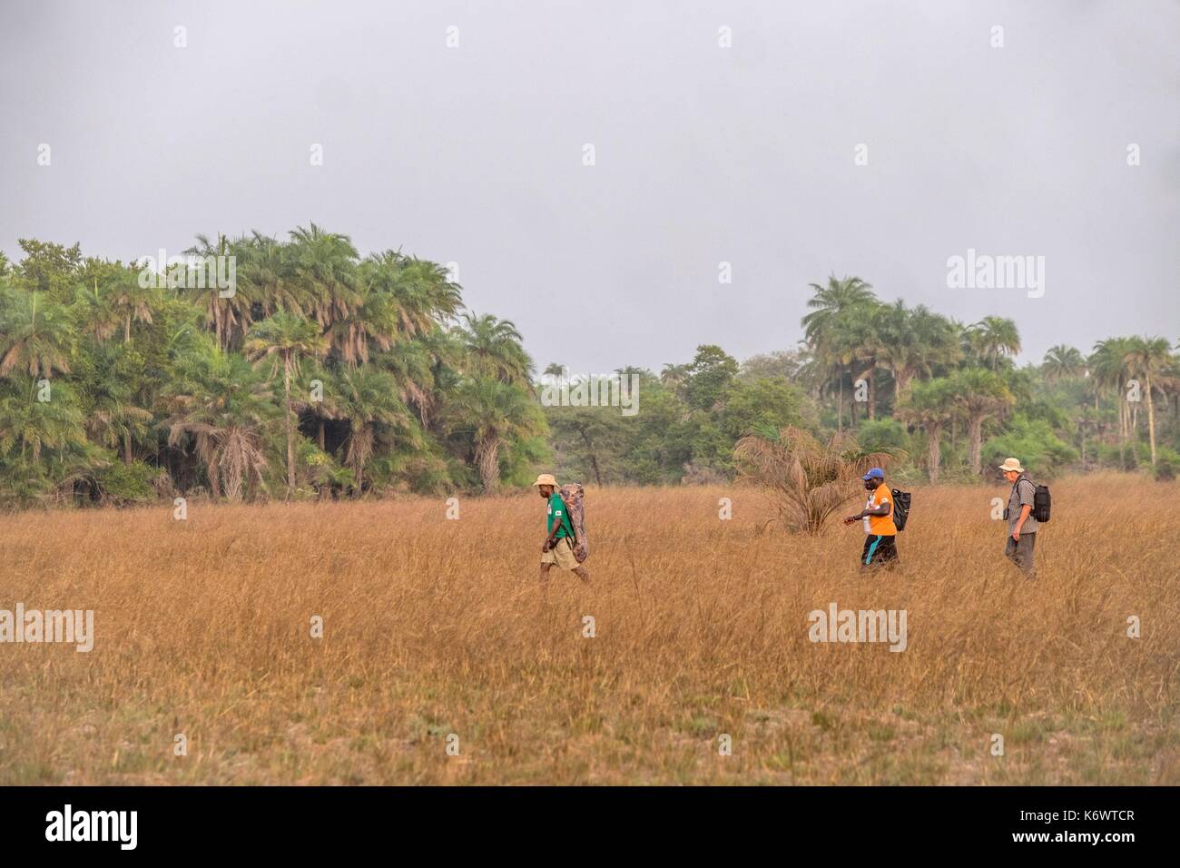 Guinee Bissau, arcipelago Bijagos elencati come si Riserva Biosfera dall'UNESCO, Imbone island, il parco nazionale di Orango, Foto Stock