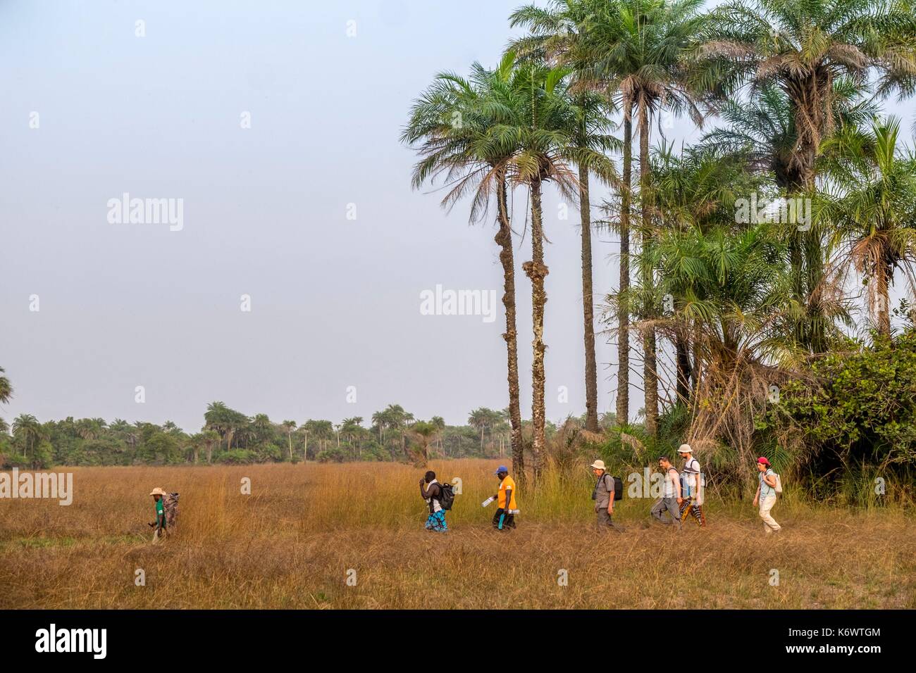 Guinee Bissau, arcipelago Bijagos elencati come si Riserva Biosfera dall'UNESCO, Imbone island, il parco nazionale di Orango, Foto Stock