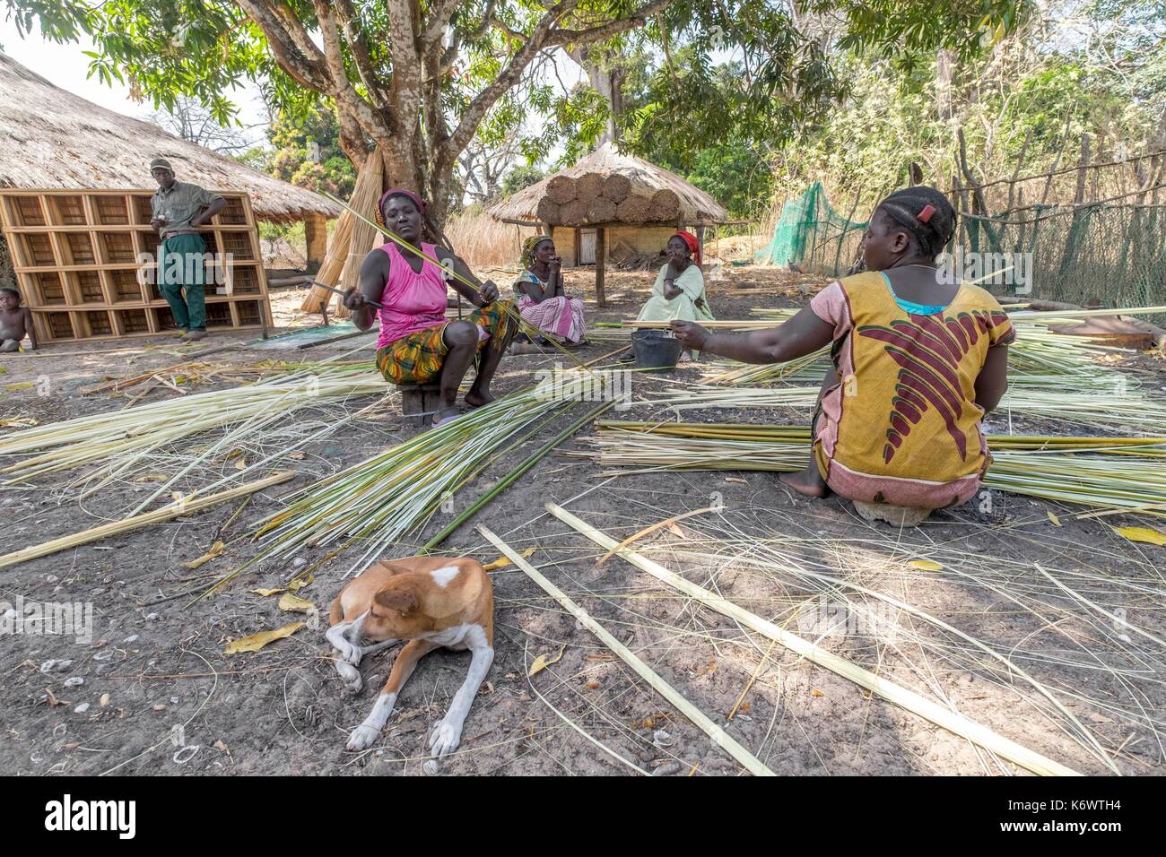 Guinee Bissau, arcipelago Bijagos elencati come si Riserva Biosfera dall'UNESCO, Orango island, il parco nazionale di Orango Foto Stock