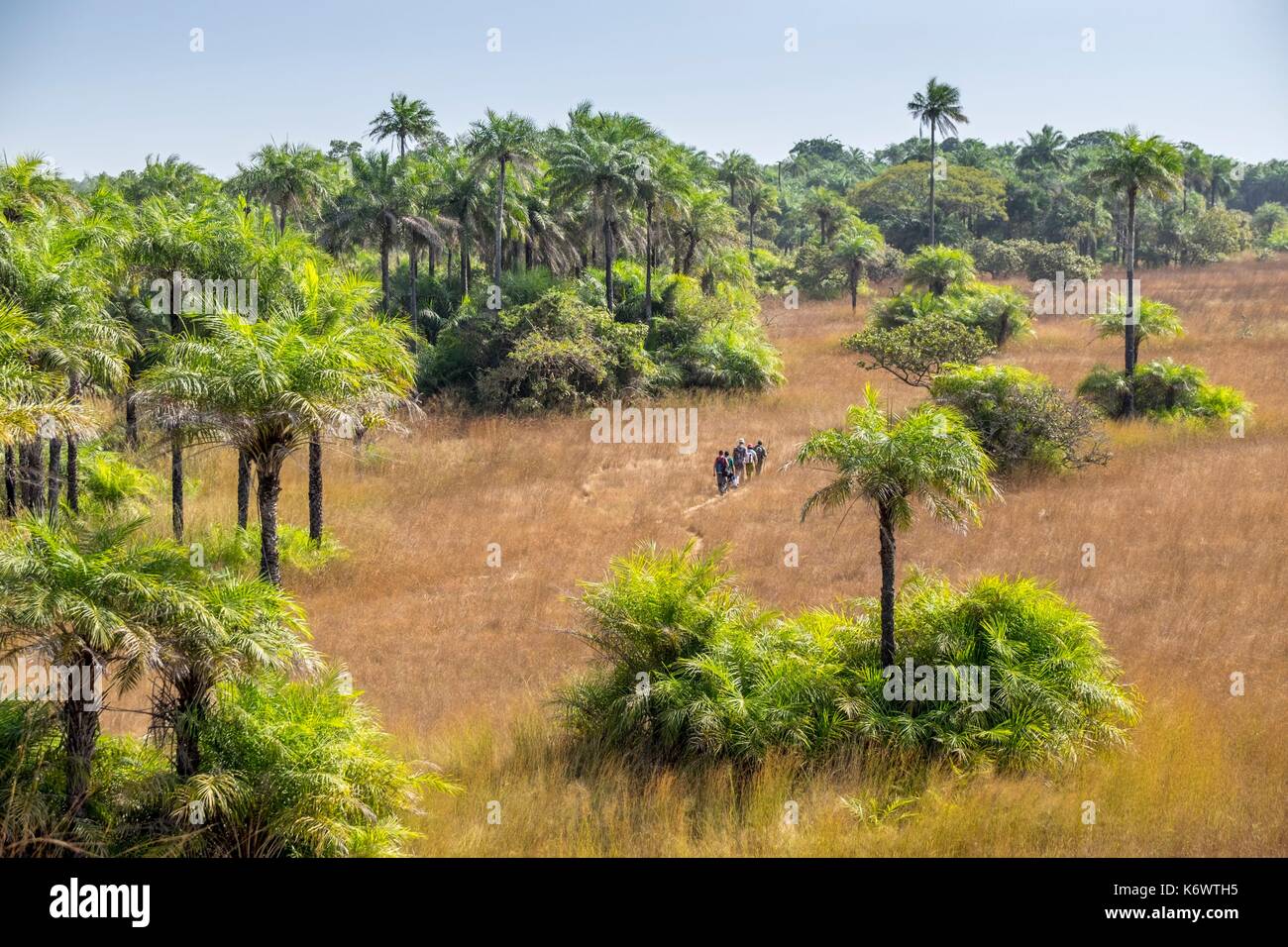 Guinee Bissau, arcipelago Bijagos elencati come si Riserva Biosfera dall'UNESCO, Orango island, il parco nazionale di Orango Foto Stock