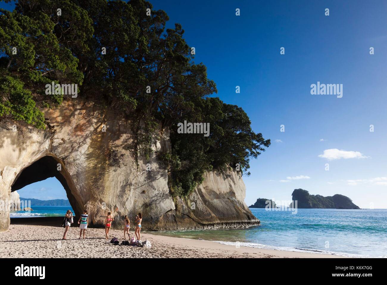 Nuova Zelanda, Isola del nord, la Penisola di Coromandel, Hahei, Cove Della Cattedrale Foto Stock