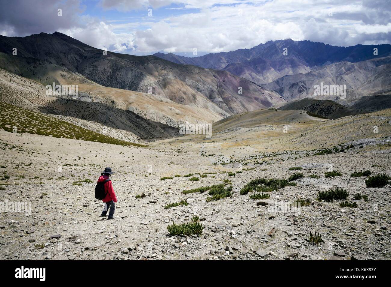 India, dello Stato del Jammu e Kashmir, Himalaya, Ladakh, Hemis National Park, Markha valley trek, escursionista attraversa la ganda la pass (4961m) Foto Stock