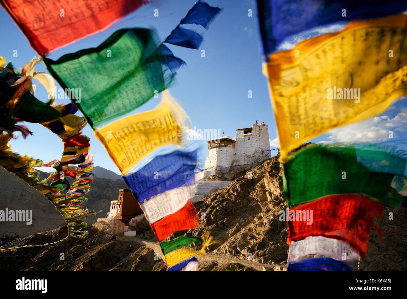 India, dello Stato del Jammu e Kashmir, Himalaya, Ladakh, Indus Valle, Leh, monastero buddista di Namgyal Tsemo e bandiere di preghiera Foto Stock