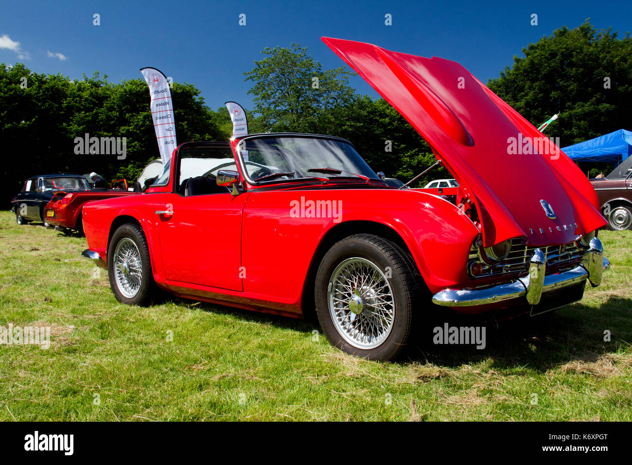 Una brillante auto sportiva Triumph TR4 rossa con cofano aperto in un classico spettacolo di auto in Galles, Regno Unito Foto Stock