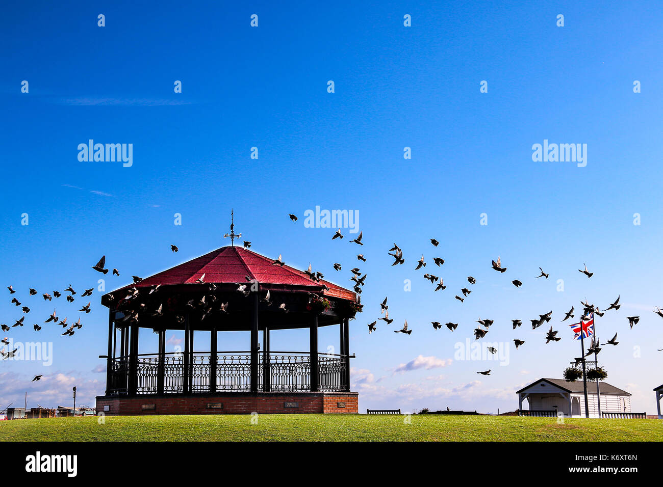 Stormo di uccelli circondano walmer memorial bandstand Foto Stock