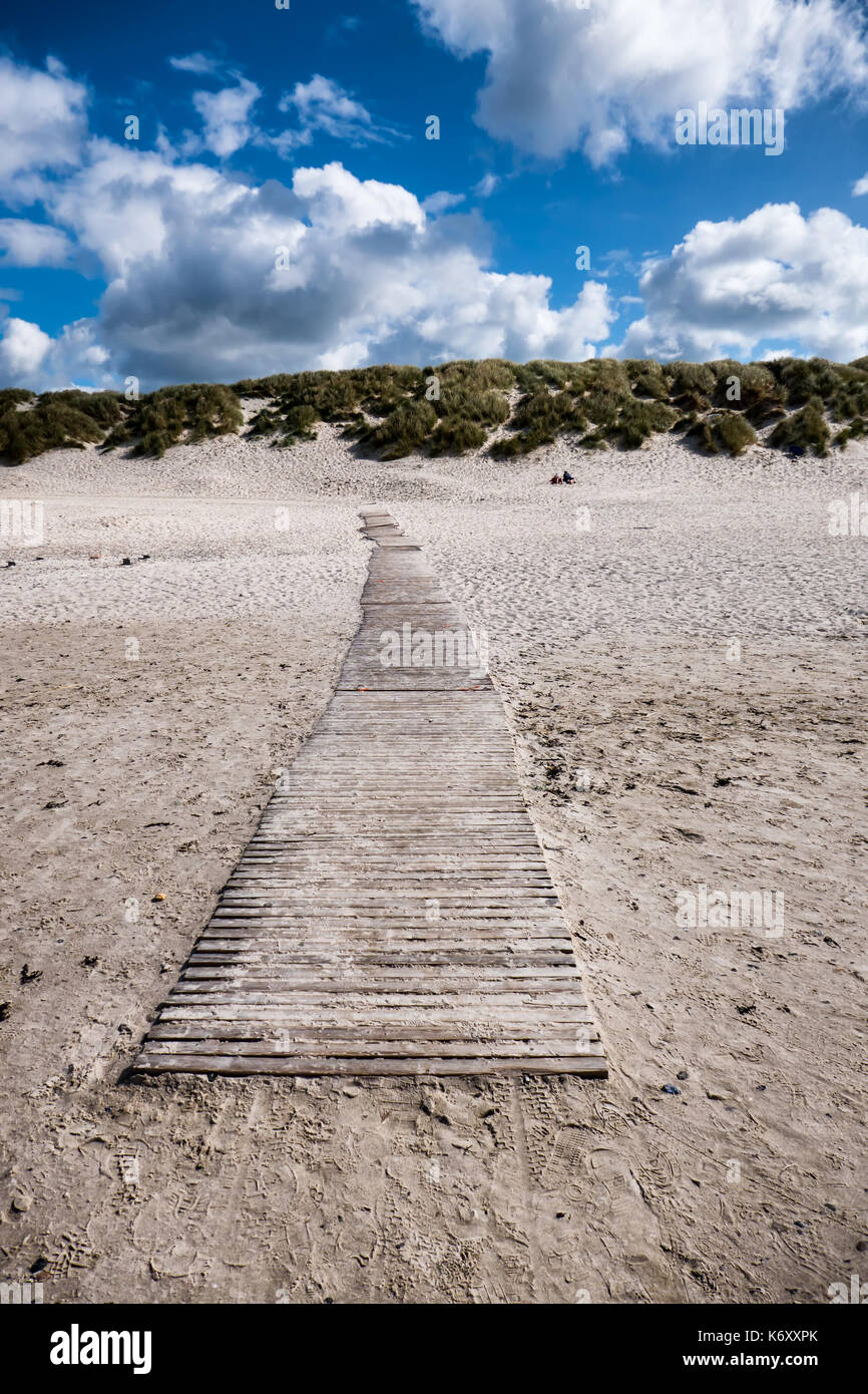 Dune con il percorso presso il Danish costa del Mare del Nord in Henne Foto Stock