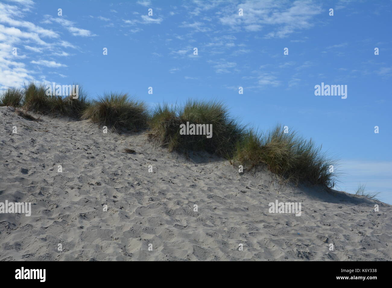 Le dune di sabbia con erba spiaggia sul Mare del Nord Foto Stock