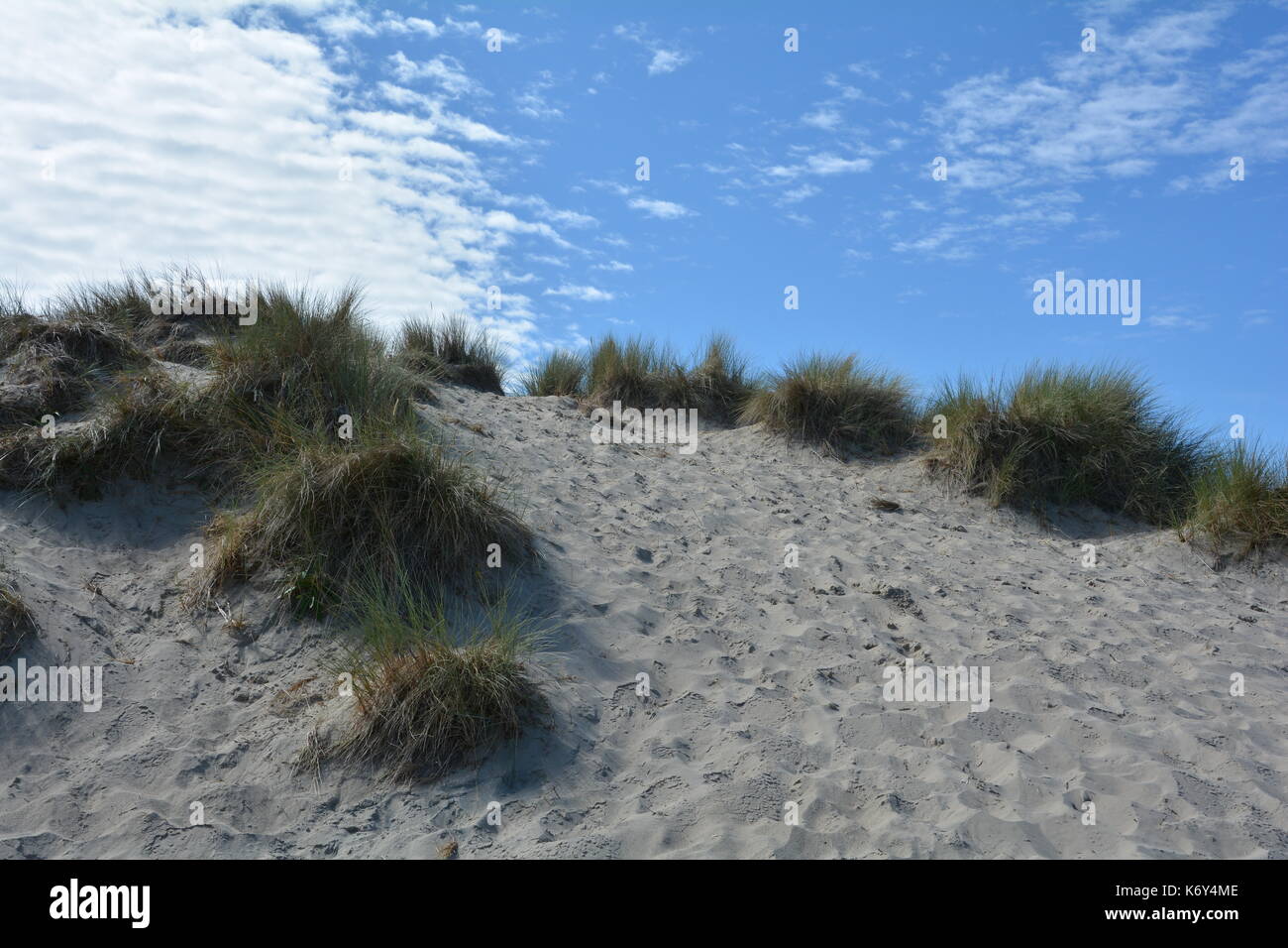 Le dune di sabbia con erba spiaggia sul mare del Nord Foto Stock