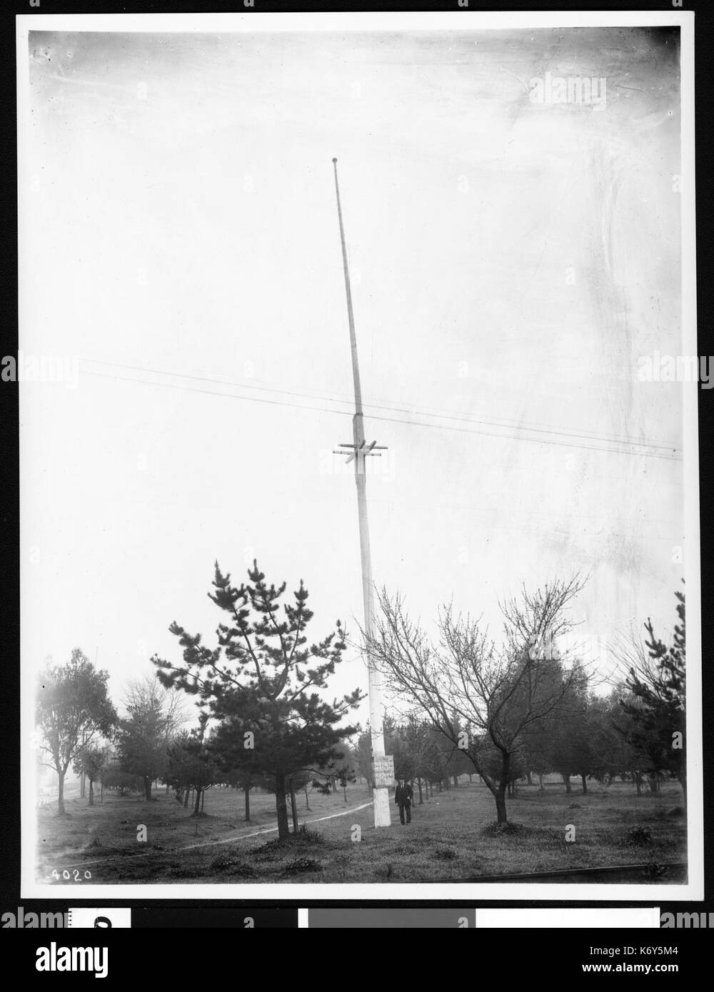 Polo di bandiera, la cui porzione superiore è la bandiera polo del celebrato il 14 giugno 1846 recano insurrezione di bandiera di Sonoma, 1903 (CHS 4020) Foto Stock