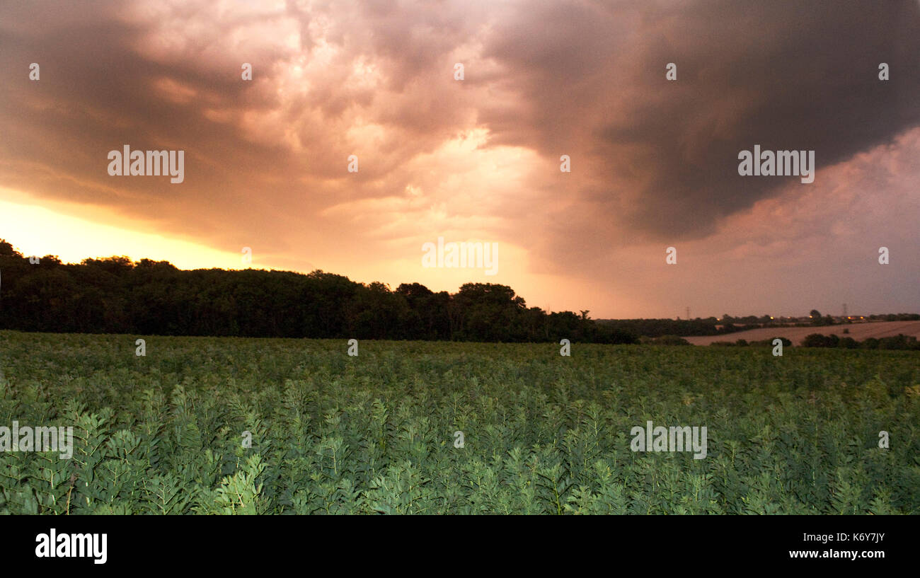 Nuvole temporalesche su terreni agricoli, hoath, Nr Canterbury Kent REGNO UNITO, 17 luglio 2014 Foto Stock