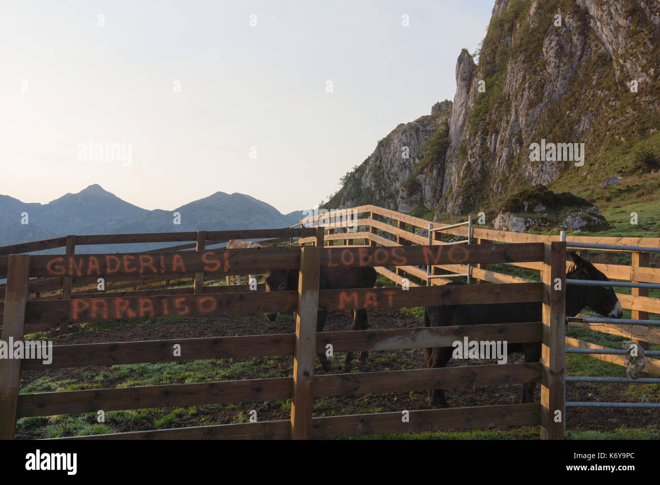 Segno di protesta dipinta sulla recinzione di legno contro lupi nel Parco Nazionale di Picos de Europa. Ganadería si, lobos n. Foto Stock
